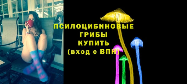 дурь Белокуриха