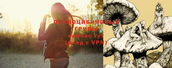 дурь Белокуриха