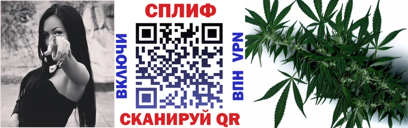 магазин    Ессентукская  Канабис MAZAR 